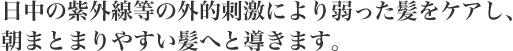 日中の紫外線等の外的刺激により弱った髪をケアし、朝まとまりやすい髪へと導きます。