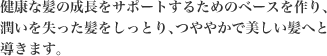 健康な髪の成長をサポートするためのベースを作り、潤いを失った髪をしっとり、つややかで美しい髪へと導きます。