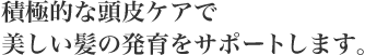 積極的な頭皮ケアで美しい髪の発育をサポートします。