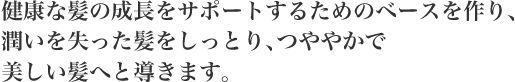 健康な髪の成長をサポートするためのベースを作り、潤いを失った髪をしっとり、つややかで美しい髪へと導きます。